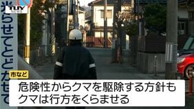 住宅街にクマ　駆除する方針も行方をくらます　近くの小学校は休校に（山形）|TBS NEWS DIG