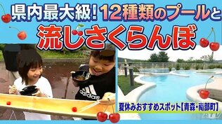 12種類のプールに温泉やサウナも完備 「流しさくらんぼ」「手ぶらBBQ」で夏満喫!リゾート施設『バーデパーク』のおすすめイベント【青森・南部町】 | 青森のニュース│ATV NEWS│青森テレビ