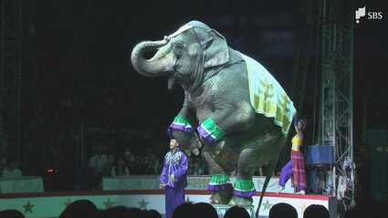 ありがとう磐田」木下大サーカスの磐田公演が千秋楽 のべ16万5000人が