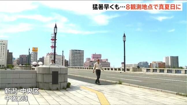 早くも“猛暑”8観測地点で『真夏日』に 村上市や上越市高田では今年最高気温を記録　新潟県|TBS NEWS DIG