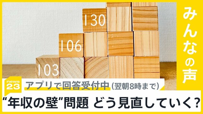 「103万円の壁」撤廃は?あすから本格的な協議が開始へ “年収の壁”どう見直すべき?【news23】|TBS NEWS DIG