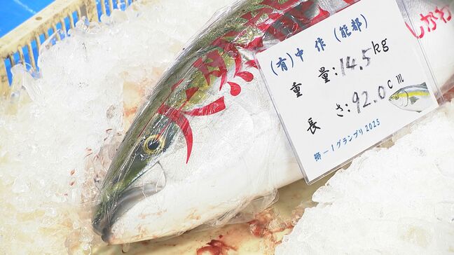 「復興の能登寒ブリ、日本一や！」歴代最高額に並ぶ400万円の“煌” 石川県のスーパーが落札 3日に5貫1000円で販売へ|TBS NEWS DIG