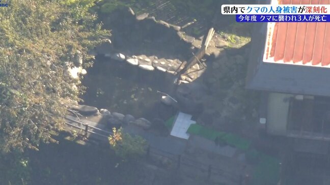 「今の時期としてはかなりやせていた」 北上市で発見された遺体の近くで駆除されたクマ 猟友会関係者や専門家に聞く 岩手県内では今年度クマの人身被害で過去最多の3人が死亡|TBS NEWS DIG