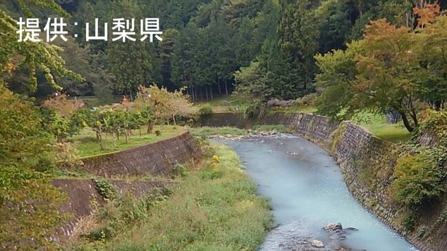 【速報】不法投棄のペンキが河川流出　魚の死骸も確認　山梨・上野原市|TBS NEWS DIG