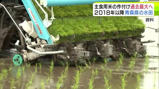 青森県の今年産『主食用米』の作付面積　過去最大の約4万3700ヘクタールとなる見込み　農林水産省|TBS NEWS DIG