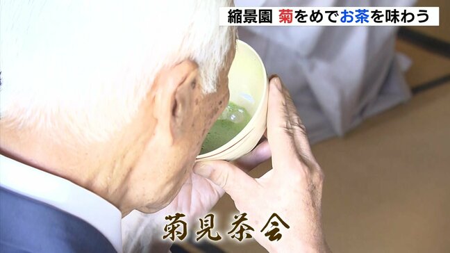 「外でお茶を飲むのも気分転換になって楽しい」　文化の日に菊の花を愛でながらお茶を味わう　広島市中区の縮景園で菊見茶会|TBS NEWS DIG