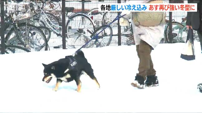 30日にかけて冬型の気圧配置強まり上越や中越で大雪の恐れ 29日は各地で氷点下の厳しい冷え込み 新潟駅前は路面凍結も 新潟市中央区|TBS NEWS DIG