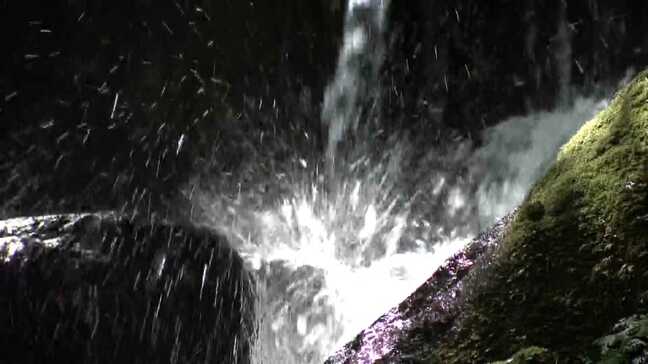 「アイスないと歩けない」久留米市と佐賀市で36度超 各地で猛暑日に 「めっちゃ涼しい」別世界を訪れる人も|TBS NEWS DIG