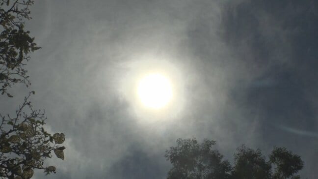 「早めに冬になって欲しい」 甲府・勝沼・大月で猛暑日 熱中症とみられる症状 2人病院搬送 |TBS NEWS DIG