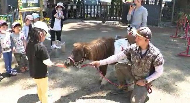 体をなでたり、えさをあげたり…保育園児がミニチュアホースとふれあい体験 長野・飯田市|TBS NEWS DIG