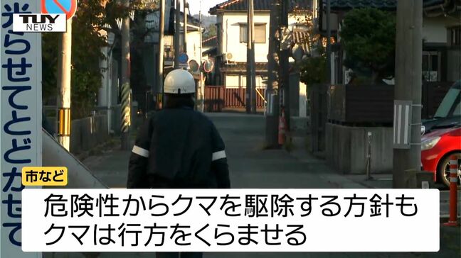 住宅街にクマ　駆除する方針も行方をくらます　近くの小学校は休校に（山形）|TBS NEWS DIG