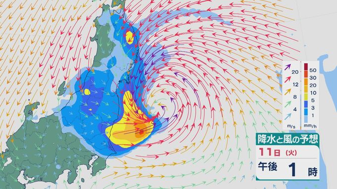 【台風情報】台風15号（チャンホン）は11日(火)に東北太平洋側に上陸のおそれ 東北から北陸にかけては台風による雨雲が到来し雨・風強まる見込み  最新の進路と雨・風シミュレーション　|TBS NEWS DIG
