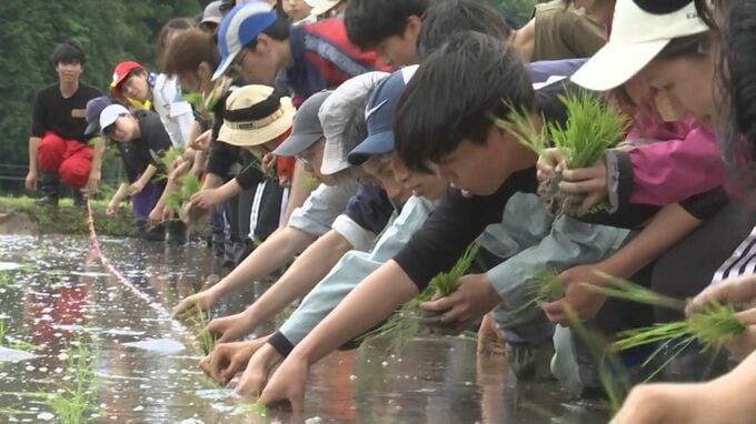 「田舎応援戦隊三徳レンジャー」大学の農業サークルが田植え　「きぬむすめ」と「コシヒカリ」紙マルチで農薬を極力抑えて|TBS NEWS DIG
