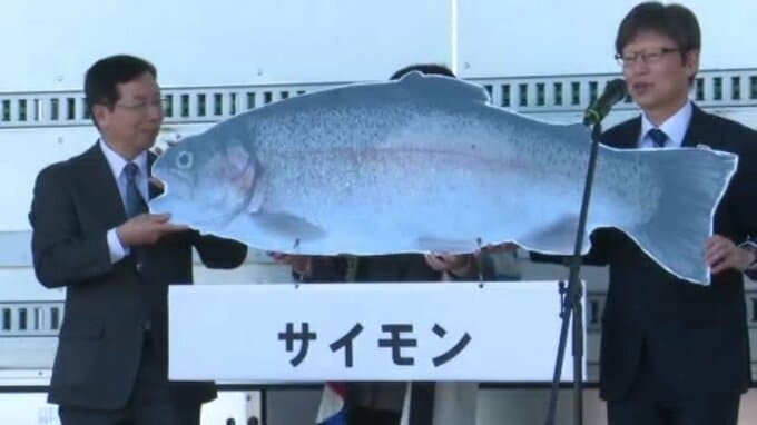 JR四国が西条市で手がける陸上養殖サーモン  名称「サイモン」に決定 来月初出荷へ|TBS NEWS DIG