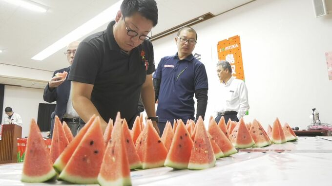 「したたるくらいのみずみずしさ」「シャリ感も抜群」　鳥取すいかの査定会　大玉で甘い仕上がりに　|　BSSニュース | BSS山陰放送