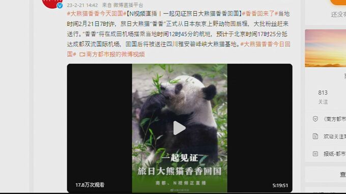 シャンシャン「多くの日本人が別れ惜しんだ」中国メディアも報道|TBS NEWS DIG