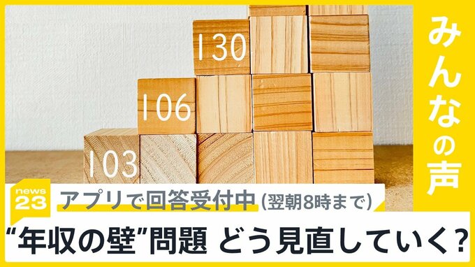 「103万円の壁」撤廃は？あすから本格的な協議が開始へ “年収の壁”どう見直すべき？【news23】|TBS NEWS DIG
