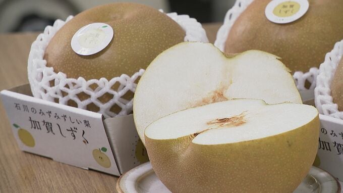 過去最高の20万円！石川県オリジナルのナシ「加賀しずく」初競り　|　石川県のニュース｜MRO北陸放送