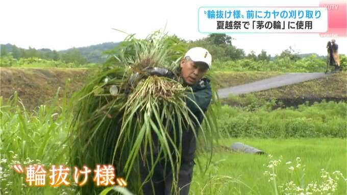 夏告げる「輪抜け様」へ 神職らが挑む直径2mの茅の輪作り【高知】　|　高知のニュース・天気｜KUTV NEWS | KUTVテレビ高知