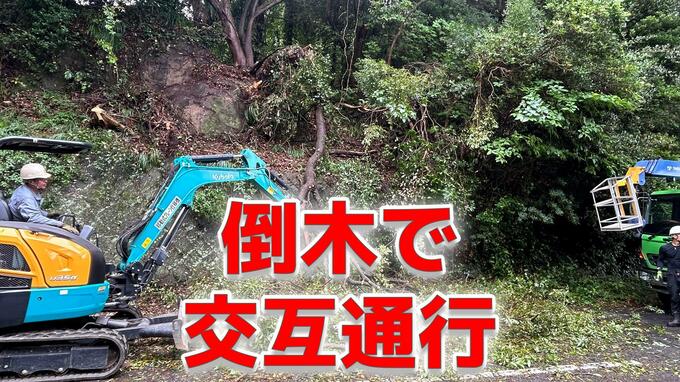 木が倒れ道路を塞ぐ　交通規制　長崎市多以良町|TBS NEWS DIG