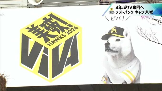 頼もしい新戦力も加え　4年ぶりの優勝へ　"美破!VIVA"　福岡ソフトバンクホークス　キャンプリポート　|　MRTニュース ｜ ＭＲＴ宮崎放送