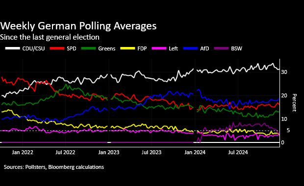 マスク氏が支持の極右政党「ドイツのための選択肢」とは－QuickTake