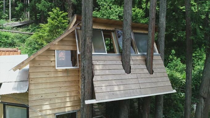 地上6メートルのツリーハウスを1人で作った！そのきっかけは1年前に自宅を襲った水害　　島根県出雲市　|　BSSニュース | BSS山陰放送