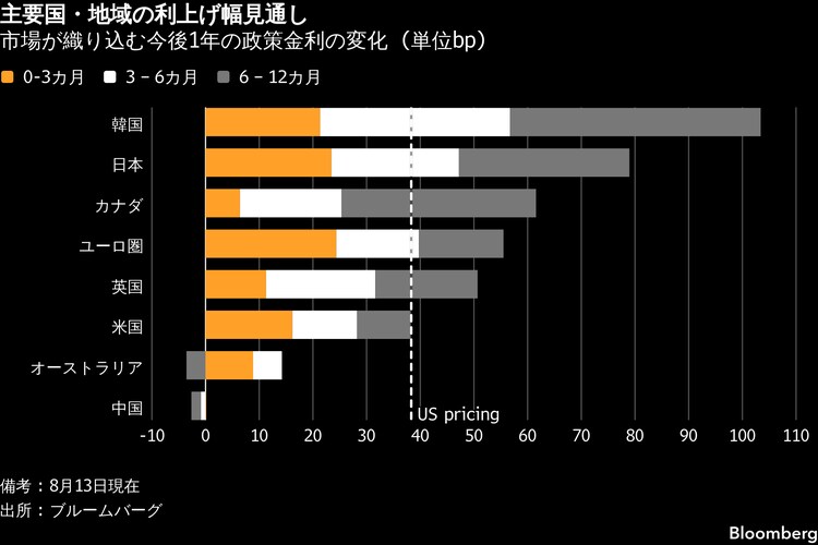 ラスト1株！【現地発根株！】【R8/5/20輸入分④】パキプス ※厳選6株￼ 世界的に利上げ観測、FRB上回る引き締めペース－債券分散投資に逆風