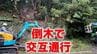 木が倒れ道路を塞ぐ　交通規制　長崎市多以良町　|　長崎のニュース | 天気 | NBC長崎放送