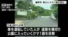 裾野市で新たにクマの目撃 市街地に近い住宅地＝静岡・裾野市　|　静岡のニュース | SBSNEWS | 静岡放送