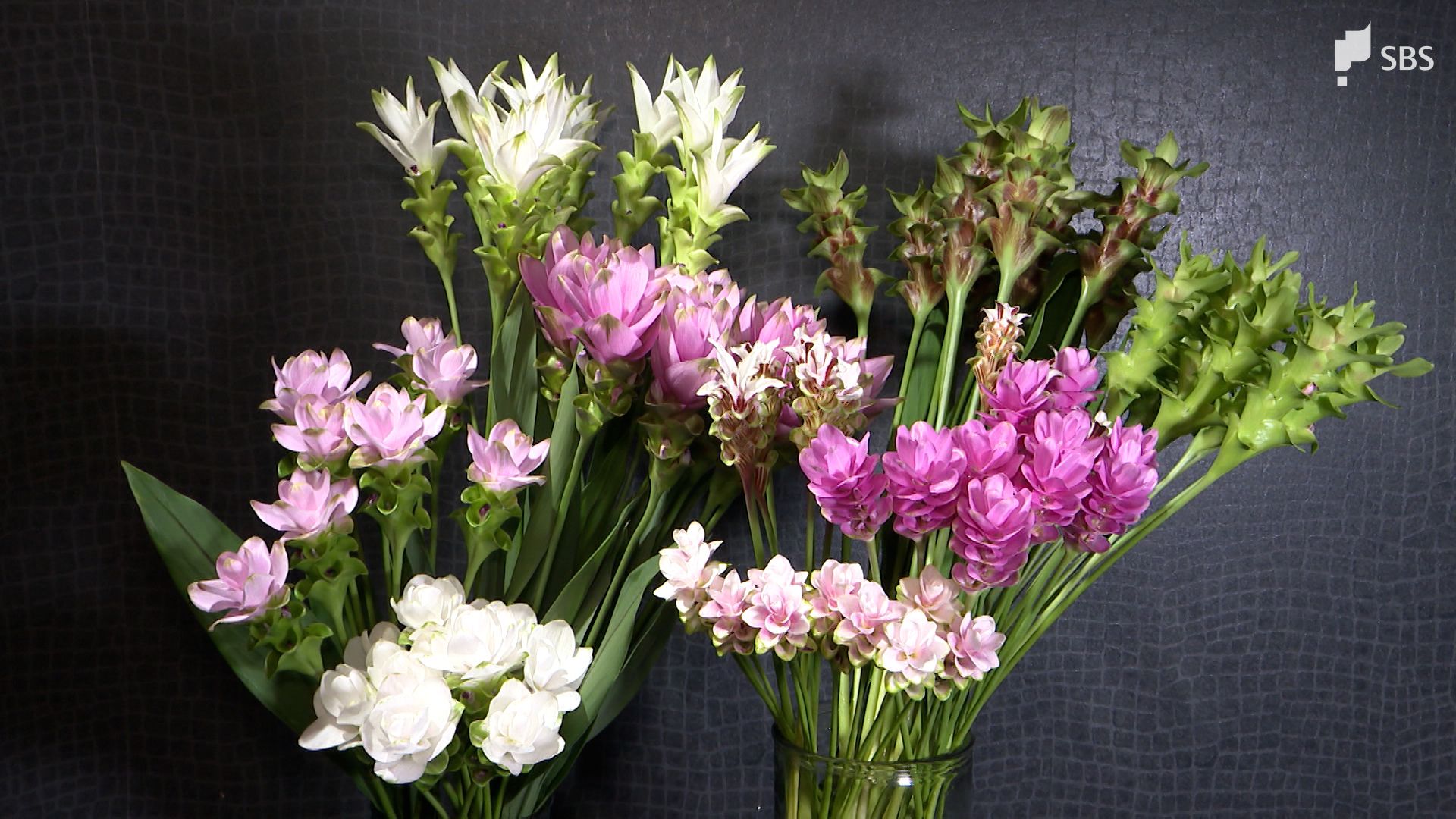 バラと同じくらいメインを飾れる」夏の花『クルクマ』トップクラスの