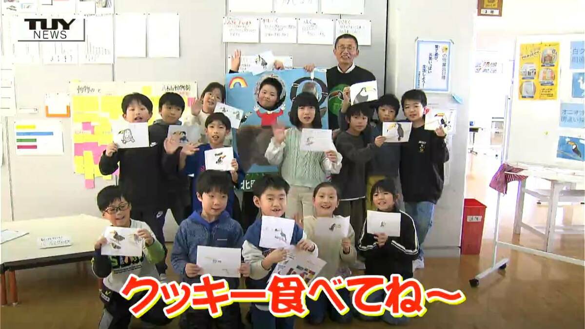 小学生が描いた『トロちゃんクッキー』誕生