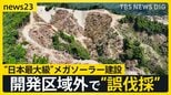 千葉・鴨川市“日本最大級”メガソーラー建設　地元住民からは不安の声　約60回の行政指導後に“誤伐採”で工事は一時停止に　国は規制強化の方針【news23】|TBS NEWS DIG