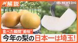 埼玉県が“高級フルーツ王国”に⁉ 「量より質」でブランド梨やイチゴは日本一に 産地化を目指す幻のフルーツ「ポポー」とは【Nスタ解説】|TBS NEWS DIG