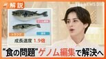 「ゲノム編集」で食の問題を解決へ 成長速度が1.9倍になるケースも【SDGs/Nスタ】|TBS NEWS DIG