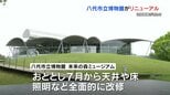 4月30日まで 無料開放 　八代市立博物館  未来の森ミュージアムが復活！　プレオープン|TBS NEWS DIG