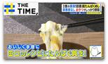 みそ汁の具材に“モッツァレラチーズ”?手軽で美味しい「超たんぱくめし」とは?【THE TIME,】 |TBS NEWS DIG