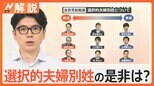 「色々な手続きが大変」旧姓に戻さず夫の名字を使用する人も 「選択的夫婦別姓」の是非は?【Nスタ解説】 |TBS NEWS DIG