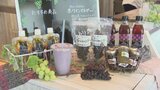 干しブドウやフルーツで作ったドレッシングなど 農作物の栽培から加工、販売まで行う「農福連携」|TBS NEWS DIG