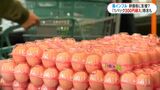 今季初の鳥インフル 食卓への影響は「卵なくなるんじゃないか…」年末年始控え不安の声も 鹿児島|TBS NEWS DIG