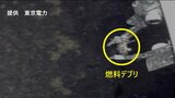 【速報】原発事故後初めてつかんだ燃料デブリ、画像公開 1辺5ミリほど 今後格納容器外に出し回収へ 東京電力福島第一原発 | 福島のニュース│TUF