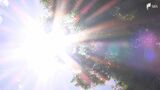 「立っているだけで汗がにじみ出る」静岡で35℃超、今季初の“猛暑日” 熱中症への警戒も必要 | 静岡のニュース | SBSNEWS | 静岡放送