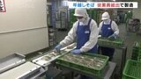 “24時間体制でフル稼働” 年越しそばの生産がピークに 従業員総出で通常の10倍の50万食を製造|TBS NEWS DIG