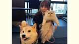 【中川翔子】「わたしが働くモチベーションは保護猫たちに寄付するため」イベント共演の犬猫に「デレデレ幸せ」 18歳の愛猫 “らいちゃん” も紹介「最強げんきおじいちゃん」|TBS NEWS DIG
