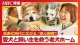 徘徊や排せつ障害…歩行困難 『ごめんね、ごめんね』愛犬を泣きながら預ける高齢の飼い主　長寿時代に広がる“老々飼育”の現実…札幌の老犬ハウスの日々　|　北海道のニュース｜HBC北海道放送