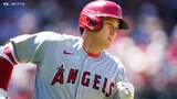 大谷翔平 外角攻めにコンパクトスイング、今季23度目のマルチヒットで両リーグトップの61打点 2冠王へ前進|TBS NEWS DIG