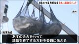 委員長困惑「中間答申まとめる予定だったのに…」焼津カツオ盗再発防止委　議論急きょ終了へ（静岡県）|TBS NEWS DIG