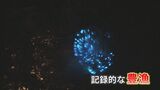 ホタルイカの“爆湧き”続く、観測史上最高で地元では「100グラム98円」も 専門家「群れが入りやすい状態」 富山|TBS NEWS DIG