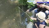 「大好きなトンボを守りたい」発起人は小中学生姉妹 ザリガニ釣って生態系保護 釣ったザリガニは細かく砕いて肥料に|TBS NEWS DIG