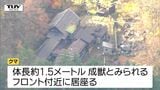 【速報】従業員はパトカーに避難 温泉旅館の館内にクマ居座る (山形・米沢市)|TBS NEWS DIG